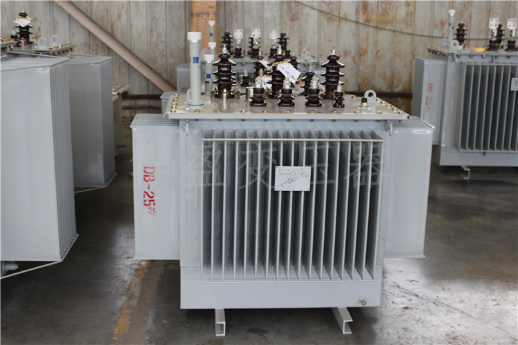 大庆S20-800kVA/10kV/0.4kV变压器